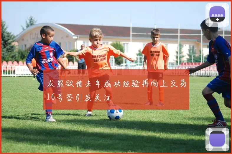 灰熊欲借去年成功经验再向上交易16号签引发关注