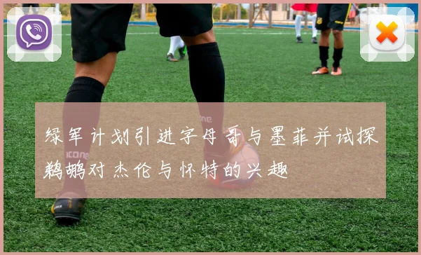 绿军计划引进字母哥与墨菲并试探鹈鹕对杰伦与怀特的兴趣